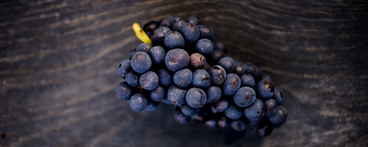 Ridgeview Wine Estate, Pinot Grapes