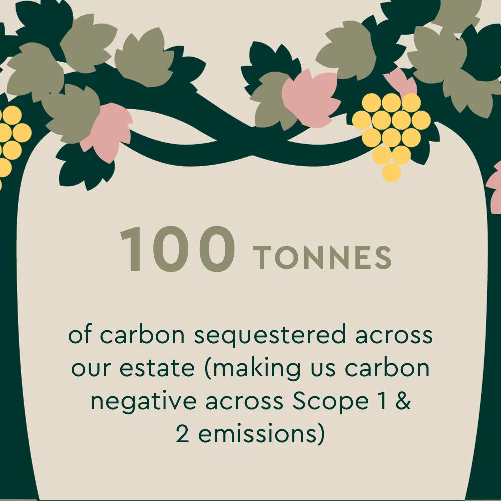 100 tonnes of CO2 sequestered