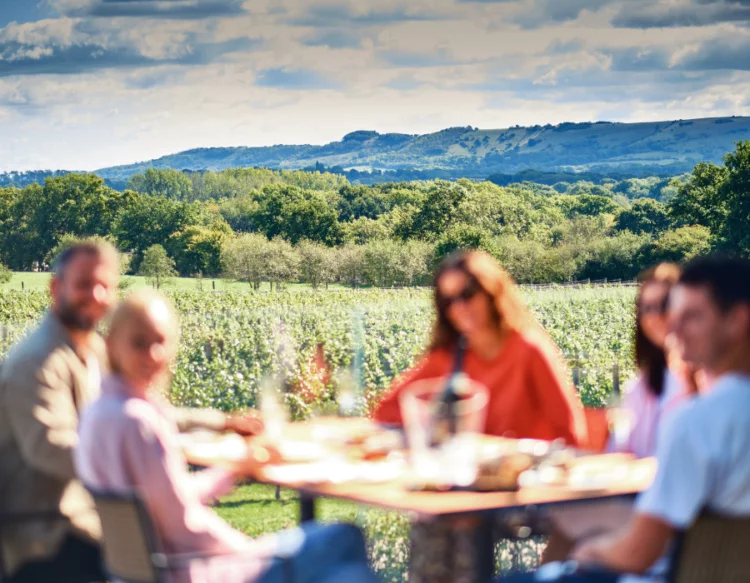 vineyard tours west sussex