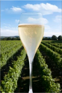 Ridgeview Wine Estate award-winning English sparkling wine