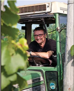 Harvest at Ridgeview Wine Estate English sparkling wine Sussex England