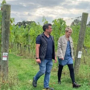 Ridgeview Wine Estate English sparkling wine Sussex England