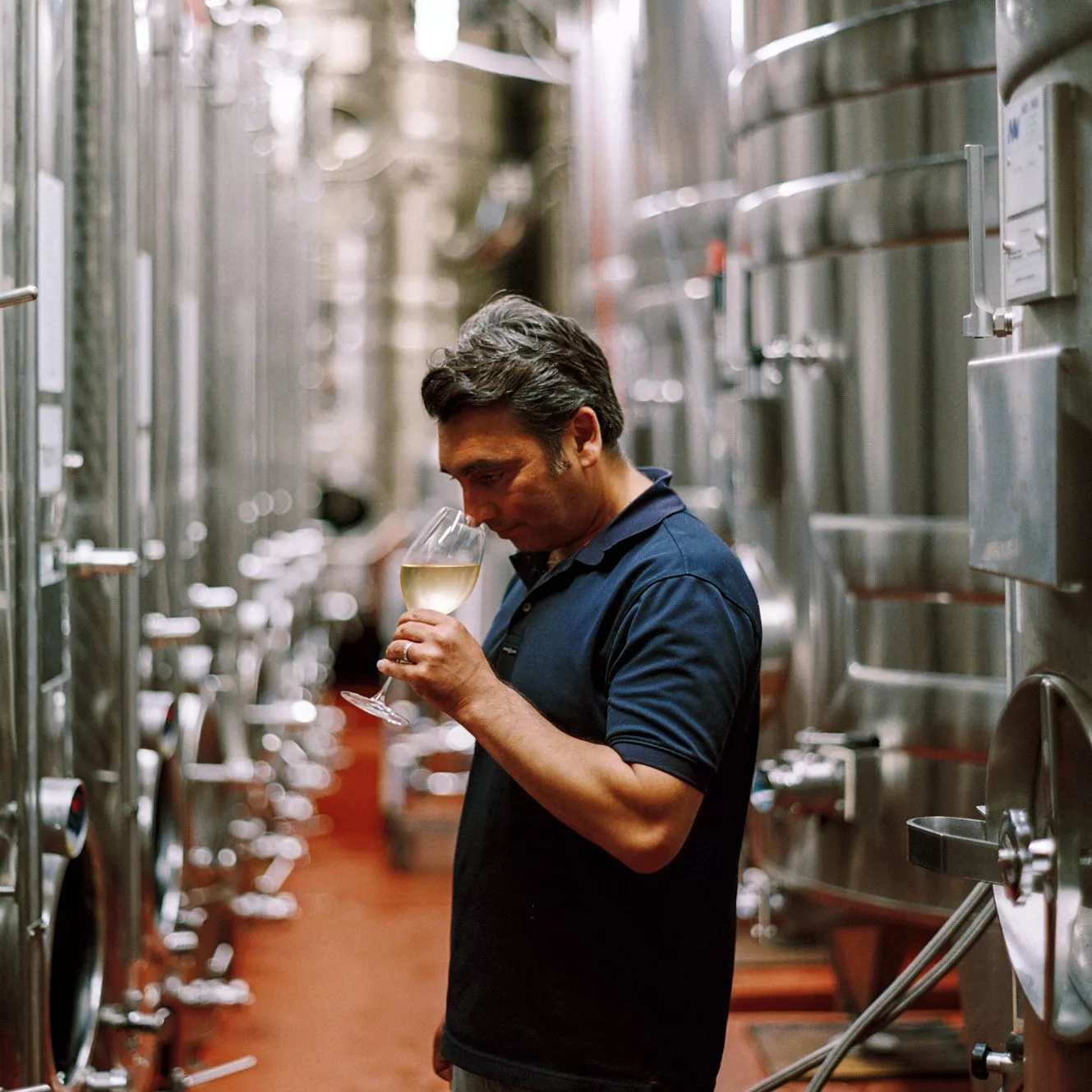 Simon Roberts Director of Winemaking at Ridgeview Wine Estate Sussex England