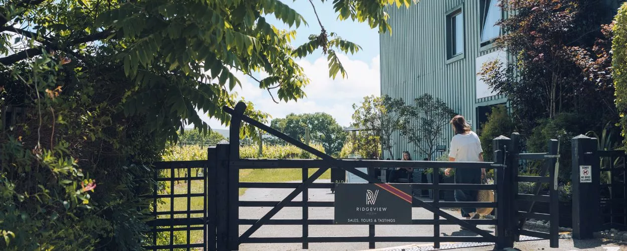 Winery Shop Ridgeview Wine Estate England