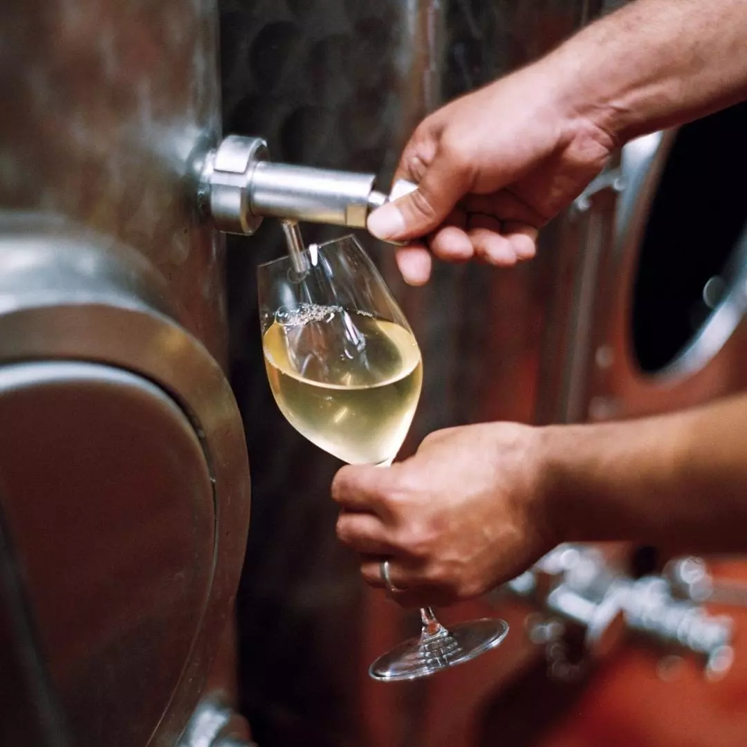 Ridgeview Wine Estate award-winning English sparkling wine Sussex