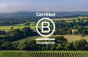 Ridgeview Wine Estate B Corp