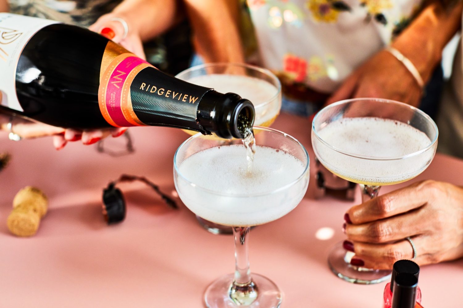 Ridgeview Wine Estate Tour and Tasting English Sparkling Wine