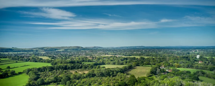 Ridgeview English sparkling wine Estate Landscape scene