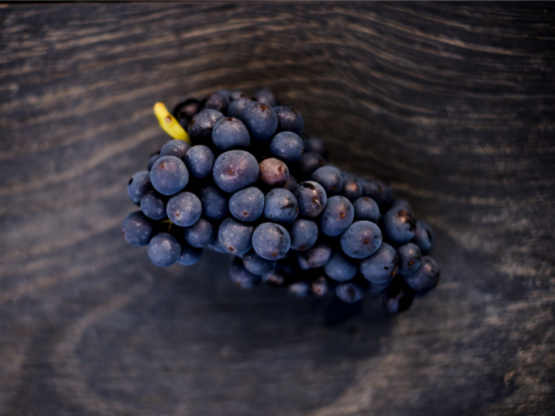 A bunch of Pinot grapes on a wooden table