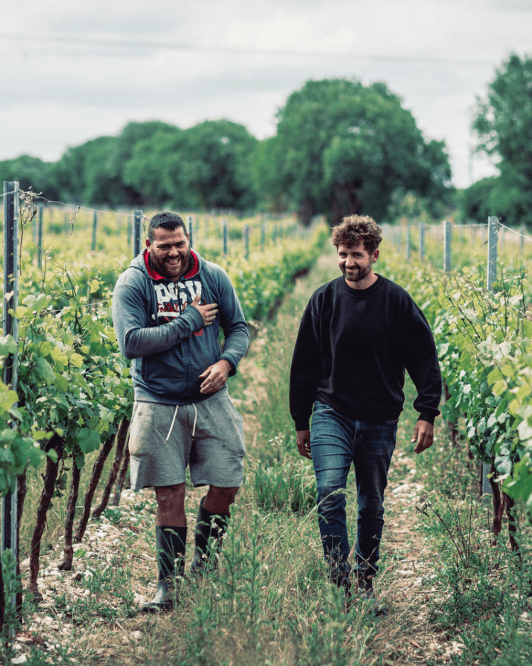 Tinwood Wine Estate Vineyard