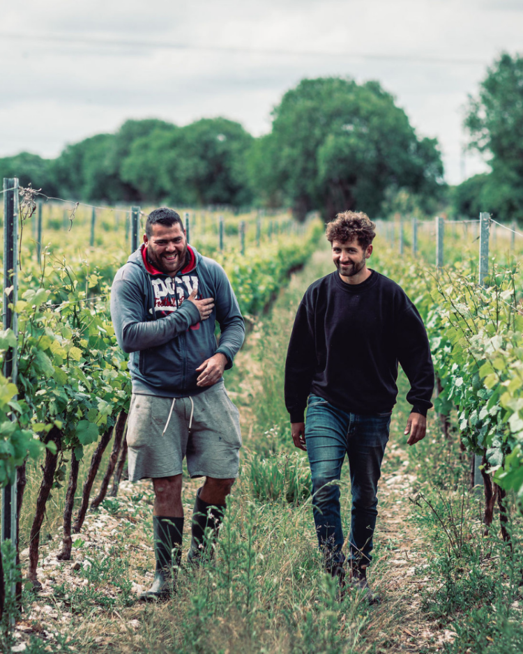 Tinwood Wine Estate Vineyard