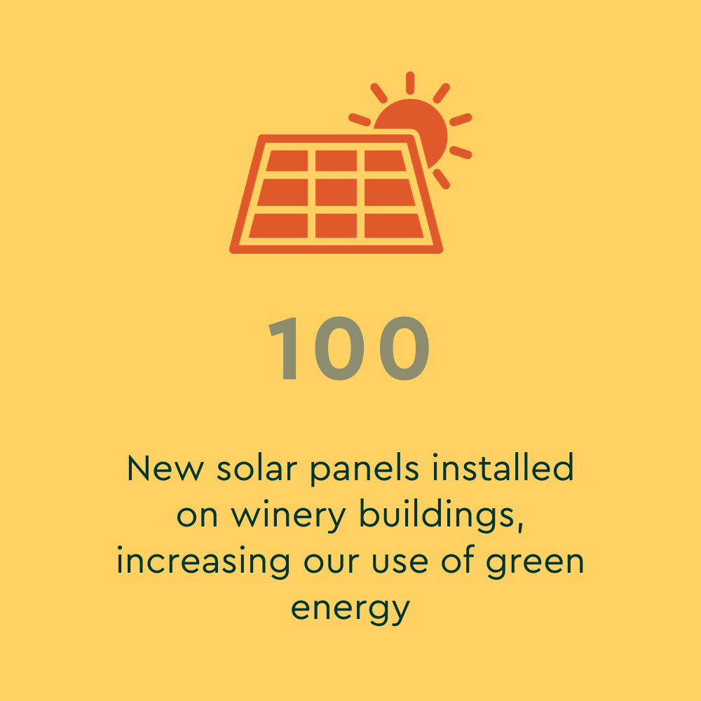 100 new solar panels installed