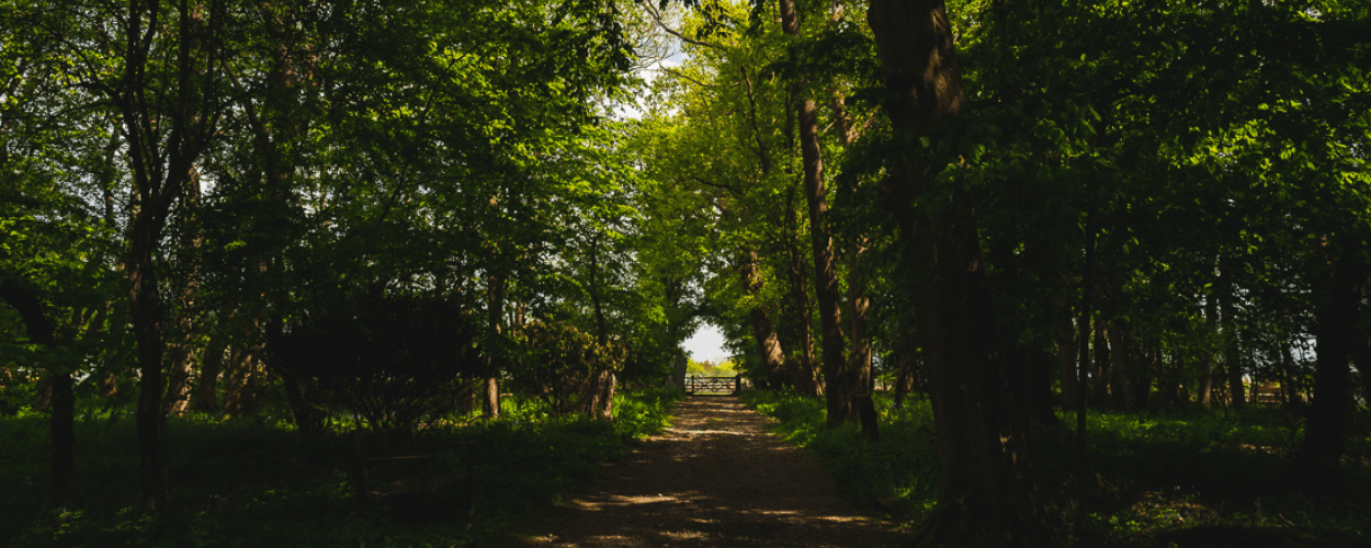 Ridgeview Wine Estate