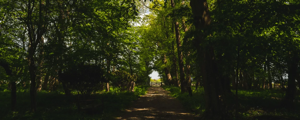 Ridgeview Wine Estate