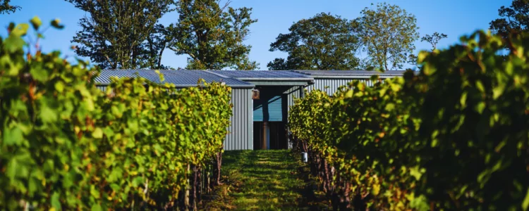 Ridgeview Wine Estate, Winery and Vineyard