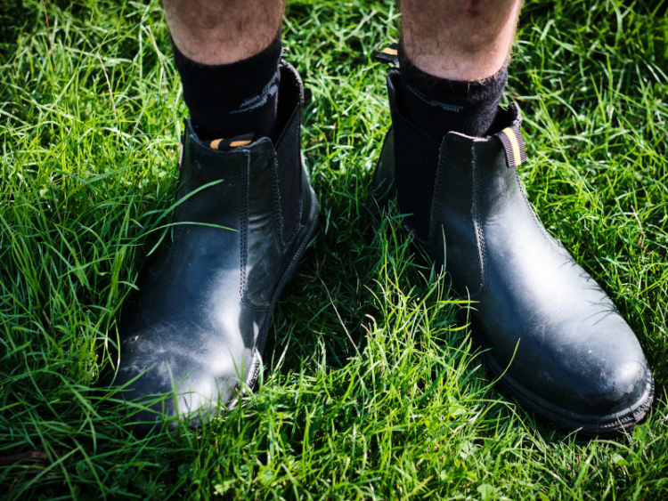 Winter walks in Sussex, Ridgeview Wine Estate