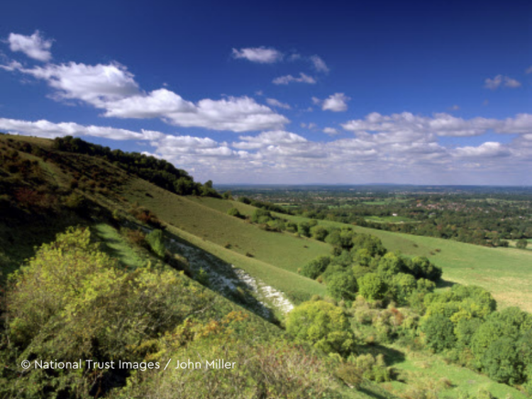 View along South Downs towards Ditching Beacon, Sussex