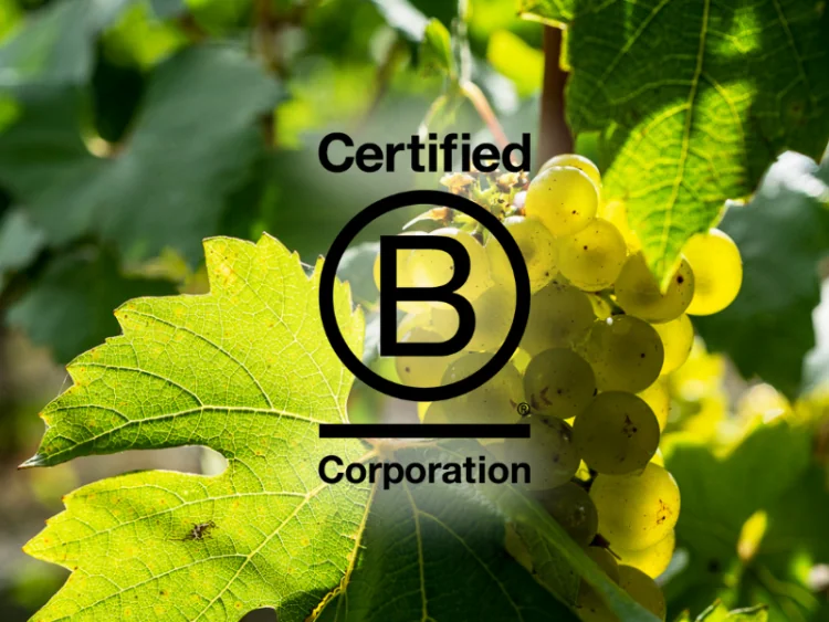 Certified B Corporation - Ridgeview Wine Estate