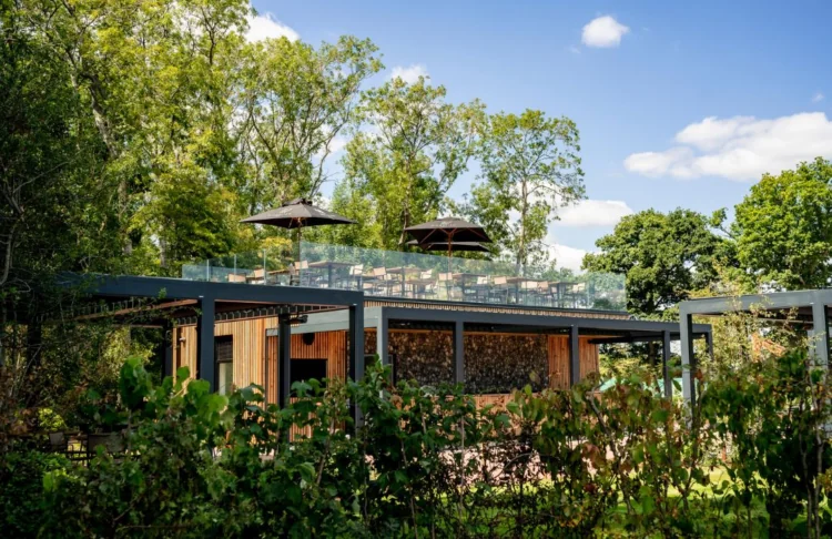 Ridgeview Wine Estate English Sparkling Wine The Rows & Vine