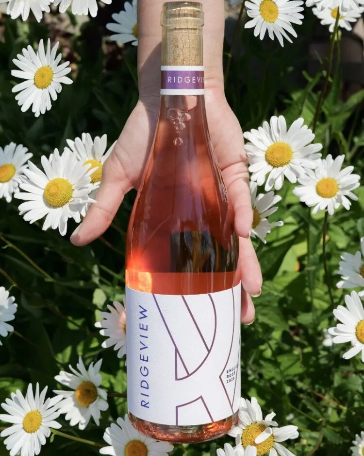 Ridgeview English Rosé Wine held in hand amongst daisies
