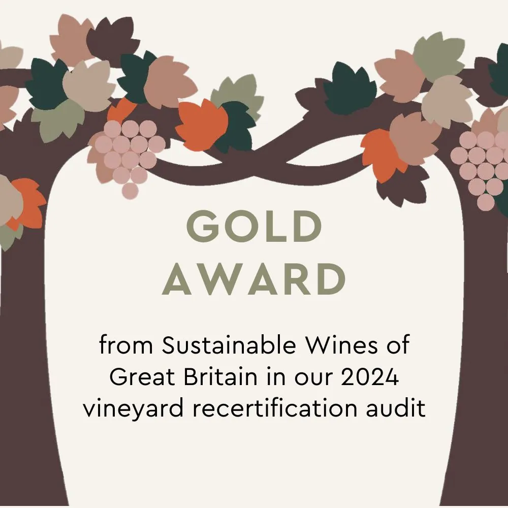 Gold award achieved for out vineyard from Sustainable Wines of Great Britain