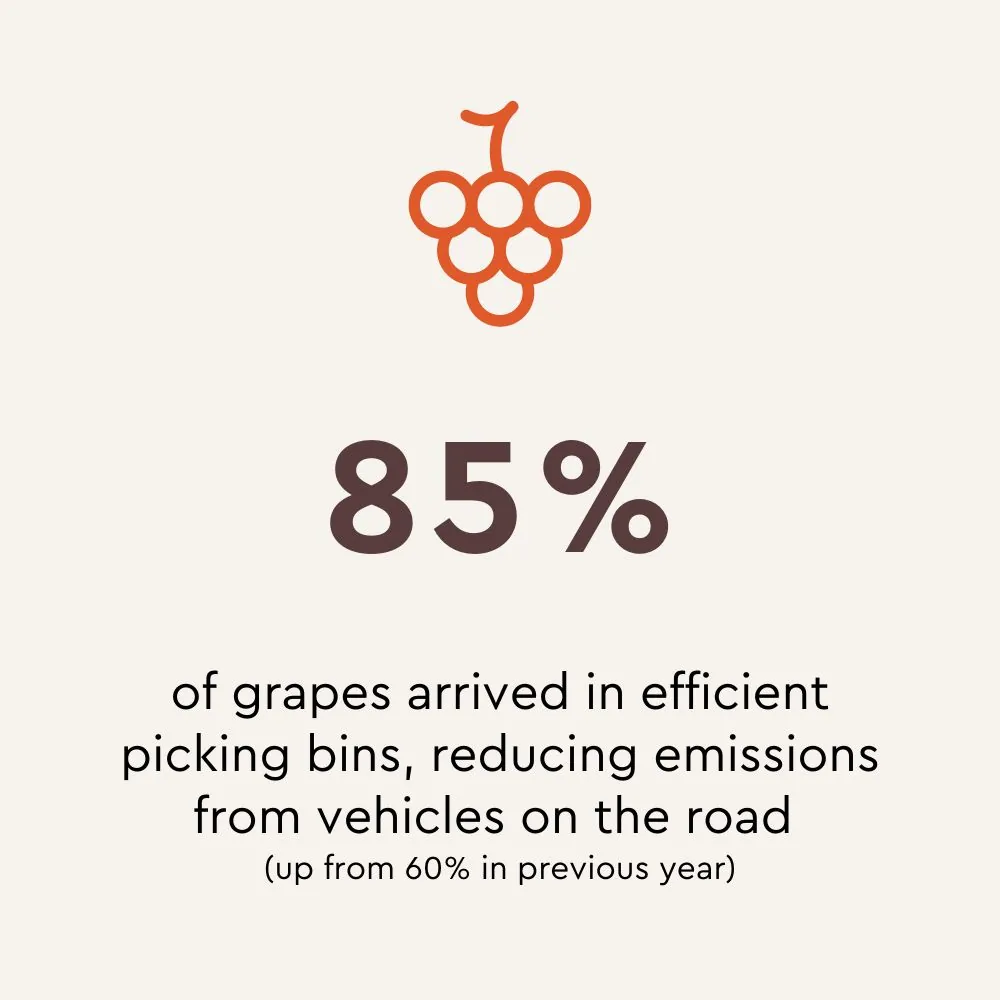 85% of grapes arrived in efficient picking bins, reducing emissions from vehicles on the road (up from 60% in previous year)