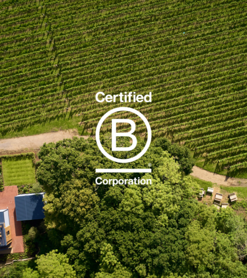 A drone shot of the Ridgeview vineyard and woodland, with winery buildings in the left corner. A white B Corp logo is overlaid in top.