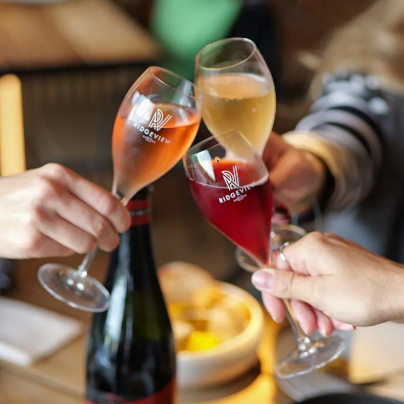 Glasses clinking at The Rows & Vine