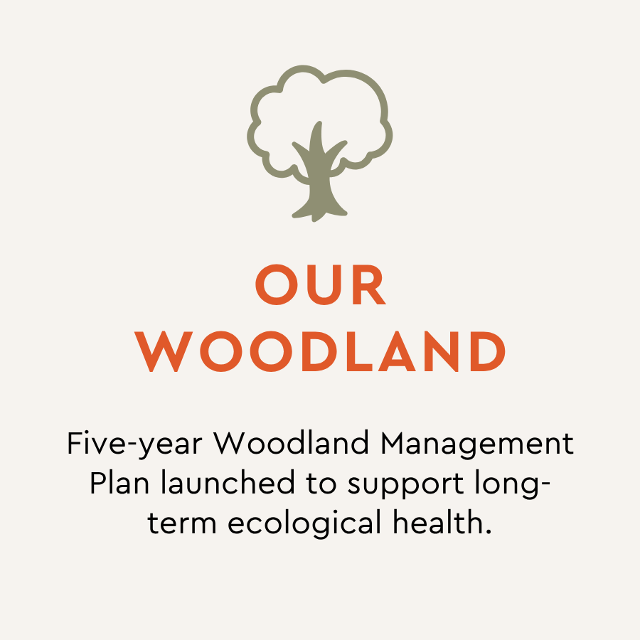 Five-year Woodland Management Plan launched to support long-term ecological health.