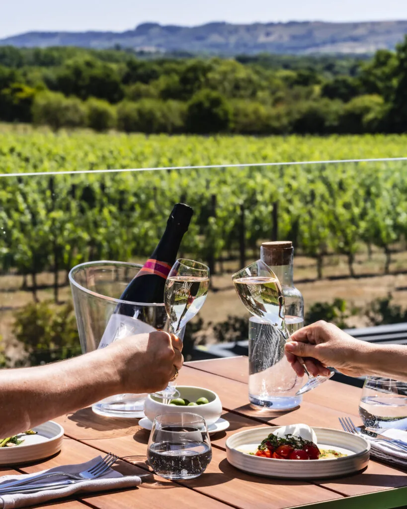 Ridgeview WineTerrace 08